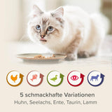 BEAPHAR – Renal Diet Mixed Package – Aliment complet pour chats souffrant d'insuffisance rénale chronique – Pour soutenir la fonction rénale – 6 x 100 g