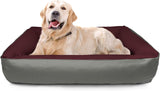 Lits, animaux domestiques, chiens, lieux de couchage et meubles