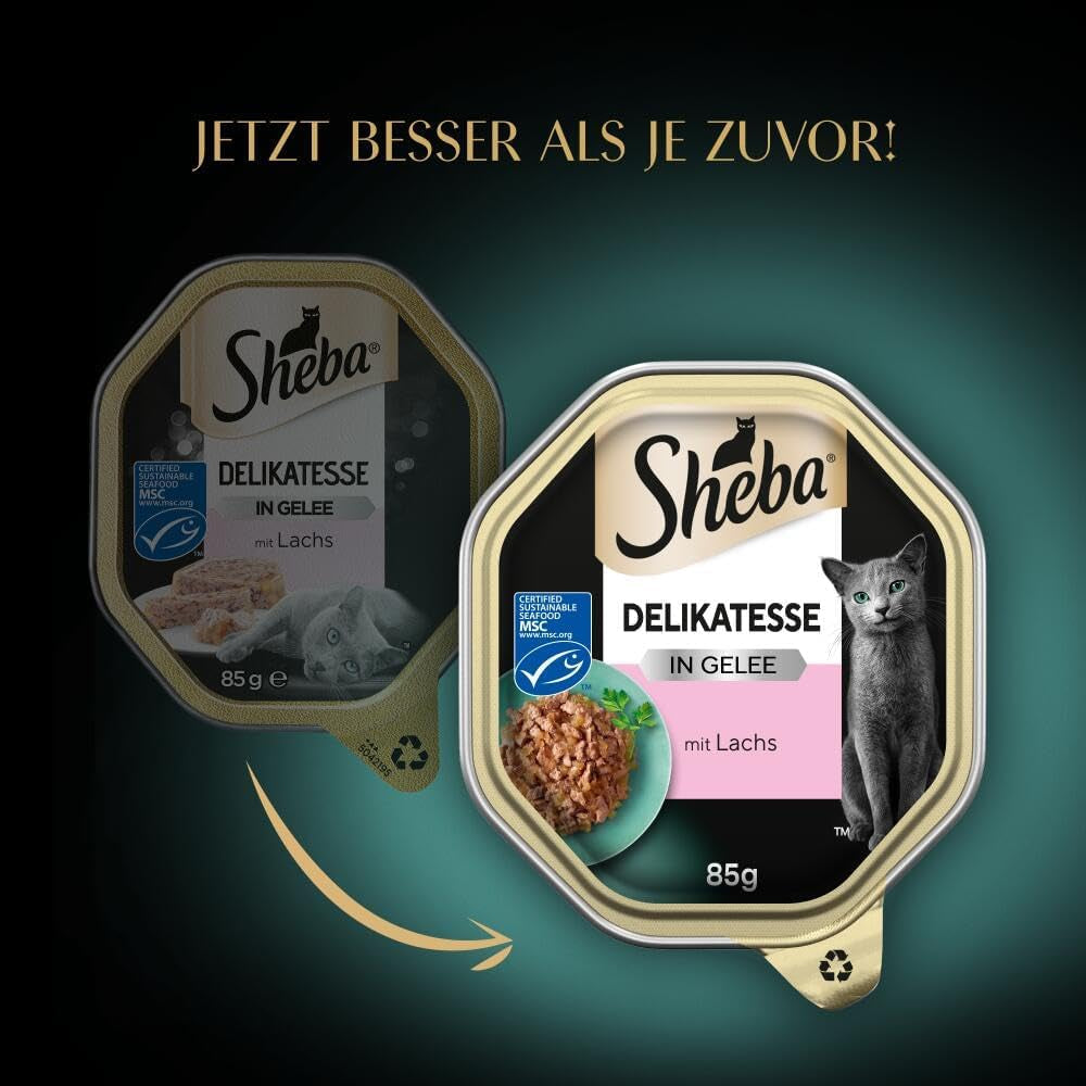 Sheba Nourriture humide pour chat, Délicatesse en gelée de saumon, 2 x 11 x 85 g