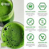Thérapie Matcha 30+ | Poudre de thé Matcha biologique | 60g | Avec une teneur vérifiée d'au moins 30 mg/g de catéchine EGCG | Soutient le système immunitaire et les niveaux d'énergie | Qualité cérémoniale | Thé vert du Japon