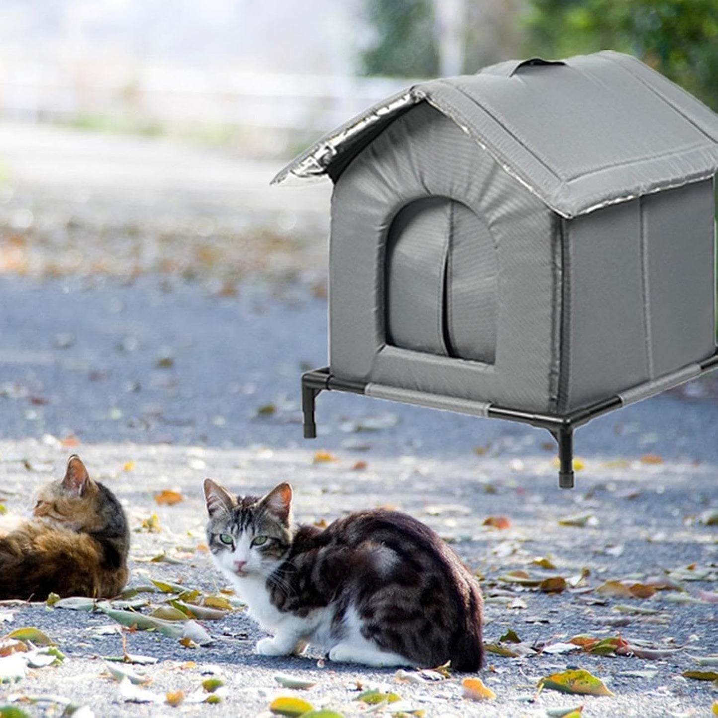 Couvertures et meubles, Animaux, Grottes et maisons, Chats, Lits pour chats, Chats - lits, matelas