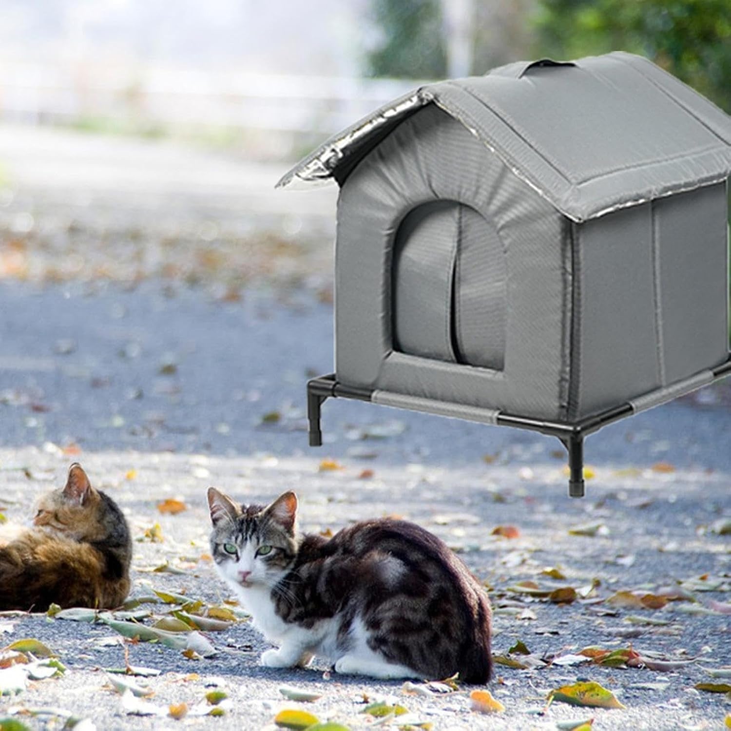 Couvertures et meubles, Animaux, Grottes et maisons, Chats, Lits pour chats, Chats - lits, matelas
