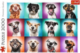 Trefl TR27119 Funny Dog Portraits II 2000 pièces, qualité premium, pour adultes et enfants à partir de 12 ans, puzzle coloré Naty Shop