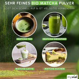 Thé Matcha biologique en poudre de qualité supérieure 100 g de thé vert de la plus haute qualité du Japon Kagoshima – Parfait pour les smoothies Matcha Latte Thé vert japonais végétalien sans additifs emballage sans plastique