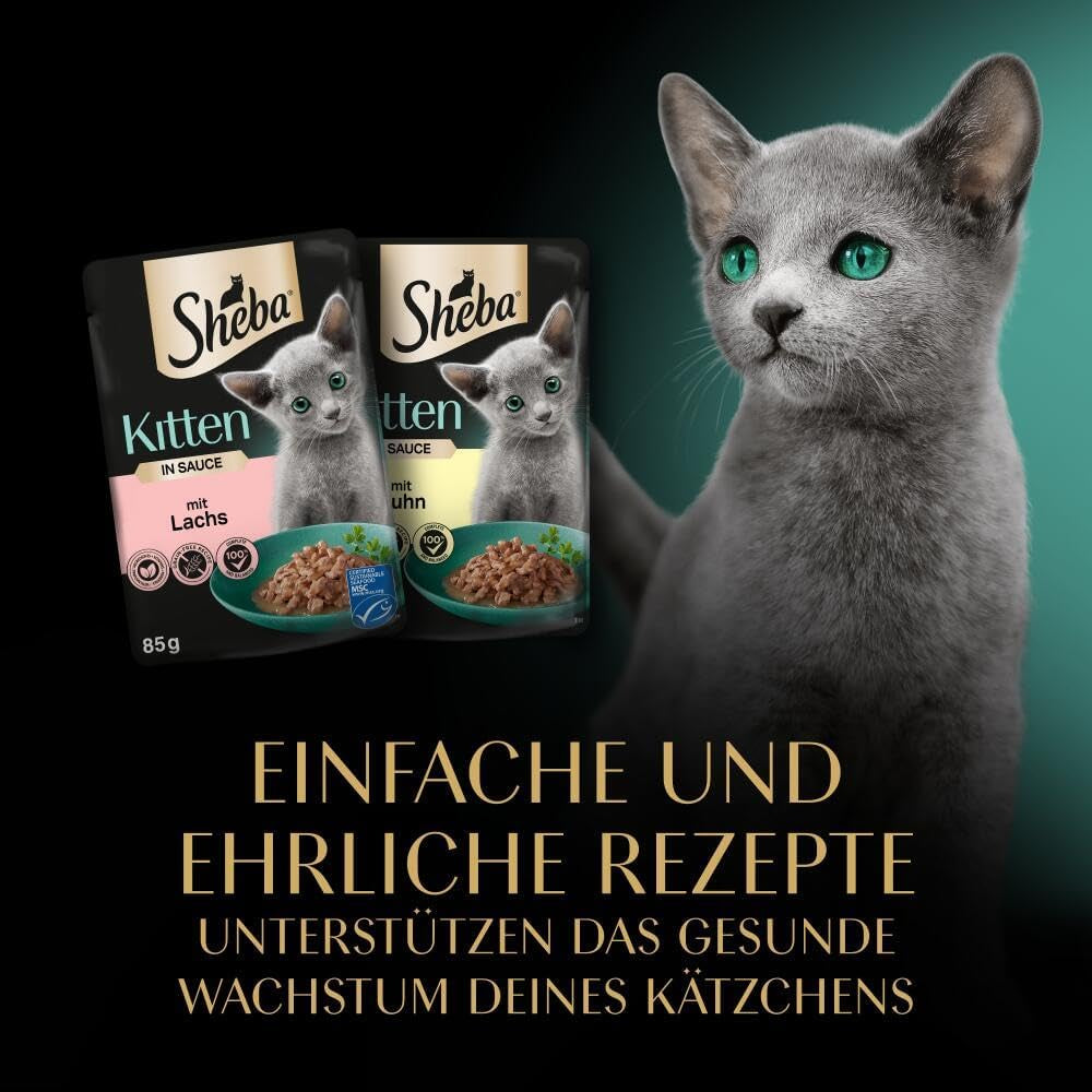 Nourriture humide Sheba pour chatons, en sachets assortis, au saumon (MSC) et poulet en sauce, multipack 40x85g