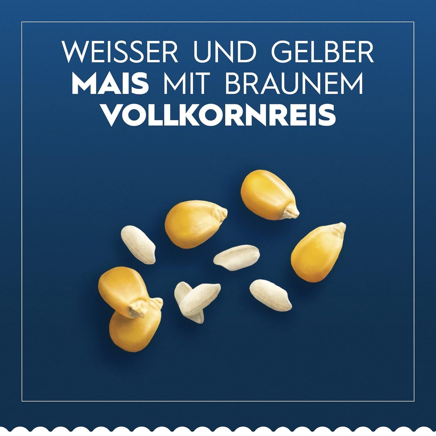 Pâtes Barilla Penne Rigate sans gluten à base de délicieux maïs et riz - parfaites pour les personnes atteintes de la maladie cœliaque ou d'intolérance au gluten (14 x 400 g)