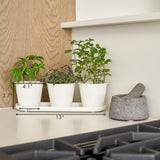 Ensemble de 3 magnifiques pots de jardin d'herbes aromatiques, parfaits pour n'importe quel rebord de fenêtre ou comptoir de cuisine, un ensemble de jardinières décoratives modernes comprenant un plateau et...