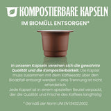 Caffè Vergnano 1882 - Café expresso compostable, compatible avec Nespresso, Cremoso (crémeux) - Packung Enthält 100 Kapseln