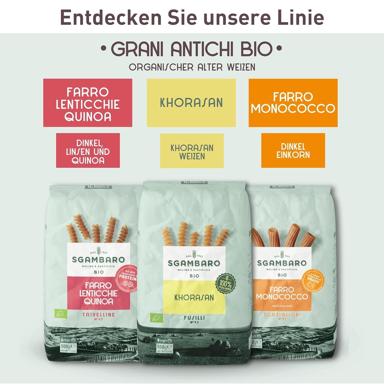 Pâtes Penne Rigate Bio N.91 - 500g de Blé du Khorasan - Blé ancien, riche en protéines, 100% cultivé en Italie - Polyvalent en cuisine et riche en nutriments