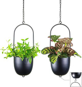 Pots de fleurs suspendus en métal 2 pièces cintre de plante géométrique ovale noir avec pots jardinière de mur et de plafond moderne intérieur extérieur 15,2 cm Pots de fleurs 2 pièces