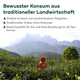 Thé Oolong Tie Guan Yin d'Anxi, Chine | Récolte 2025 | Thé Oolong chinois de haute qualité | Thé chinois premium issu de plantations traditionnelles 100 g