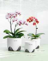 Pot de fleur d'orchidée avec trous de drainage pour la transplantation, excellente circulation de l'air, 2 pièces, plastique double couche, jardinière d'orchidée en céramique, pot de fleur d'orchidée transparent, décoratif