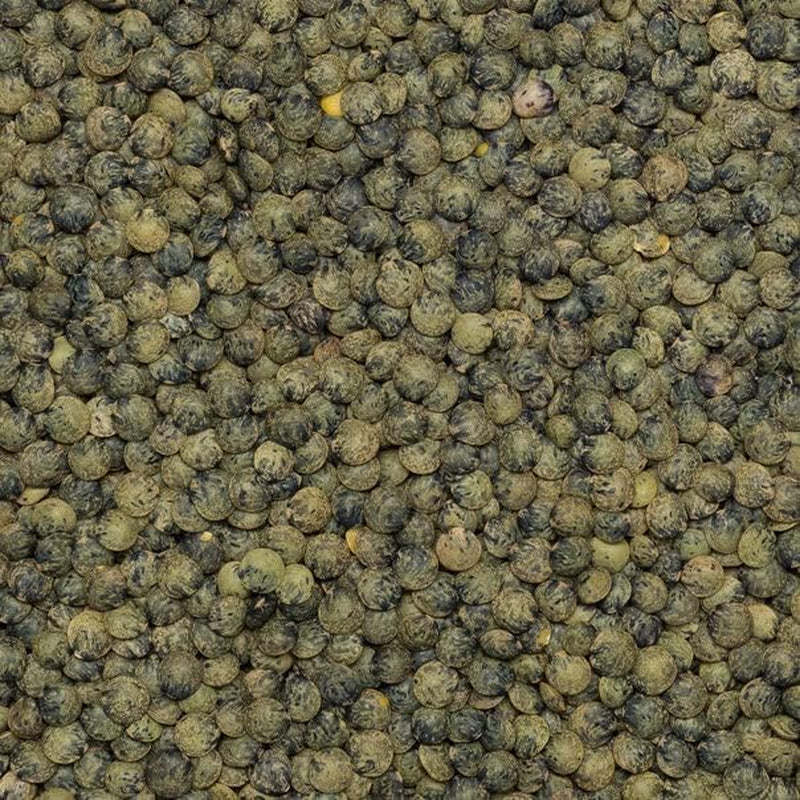 Wholefood Earth Lentilles vert foncé biologiques à la française 1 kg sans OGM | Végétalien | Riche en fibres | Riche en protéines | Certifié biologique