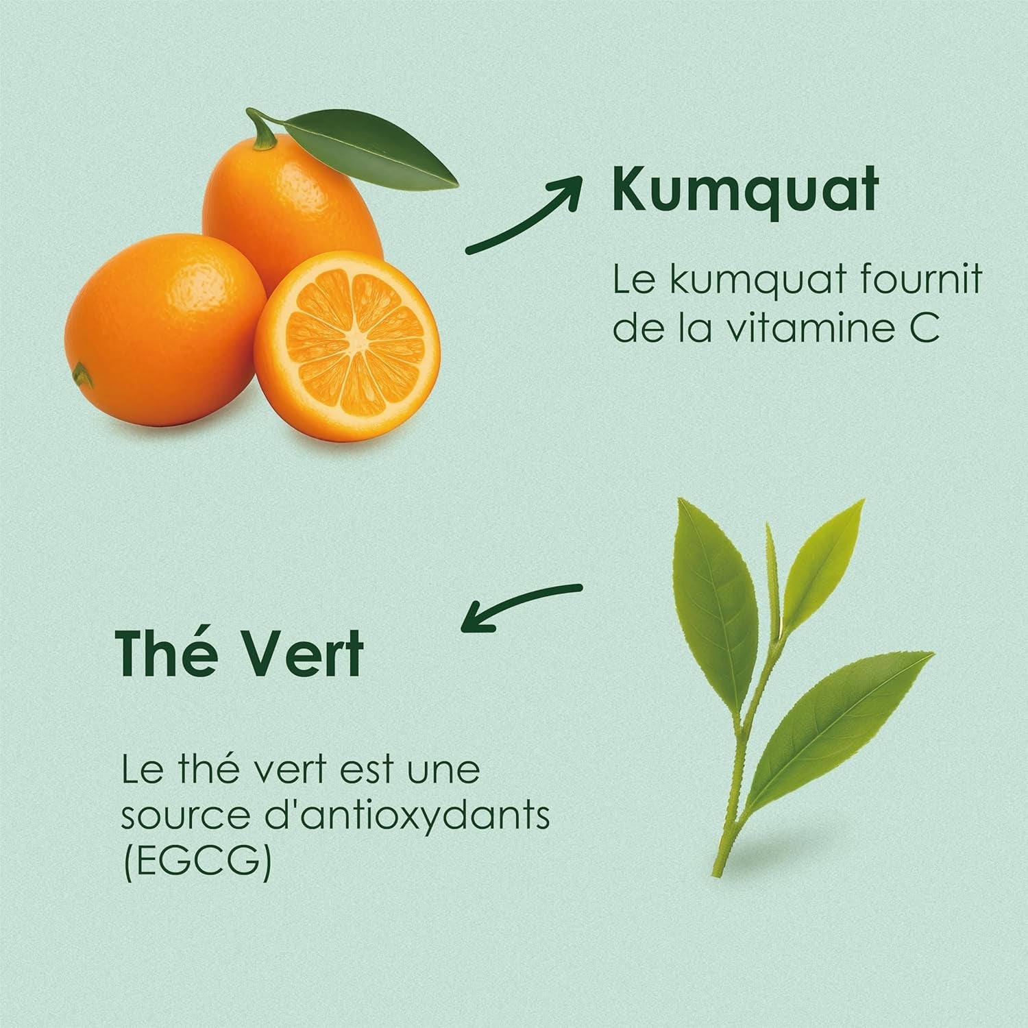 Yunnan Tuocha Zouji - Thé vert bio au kumquat - Vitamine C - 100 sachets de thé - 200 g - Qualité Yunnan garantie