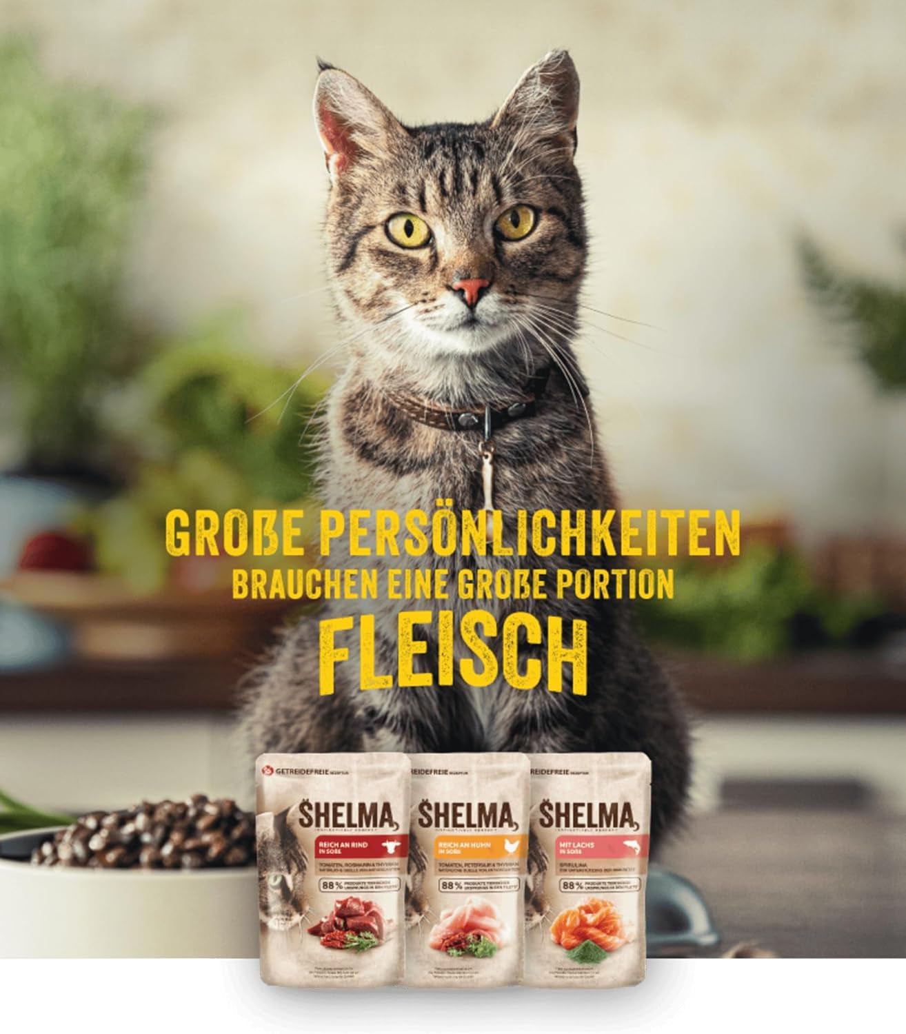 Shelma Nourriture humide pour chat avec dinde dans une sauce tomate et herbes – Aliment complet sans céréales à haute teneur en viande – 28 x 85 g (2,38 kg)