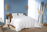 Abeil Couette Douceur Et Fraicheur Blanc Quilt Feran Ice Soft And Fresh, Blanc, 240 X 260 Cm, Polyester, 240X260 Couettes et couettes Naty Shop