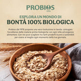 Cornflakes bio légers 500g par paquet