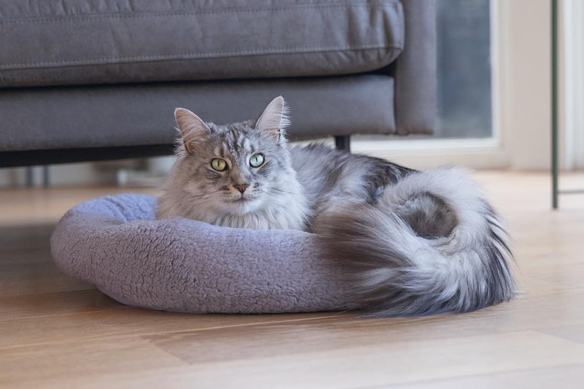 Lits, couvertures et meubles, animaux, chats, lits pour chats, Chats - lits, matelas