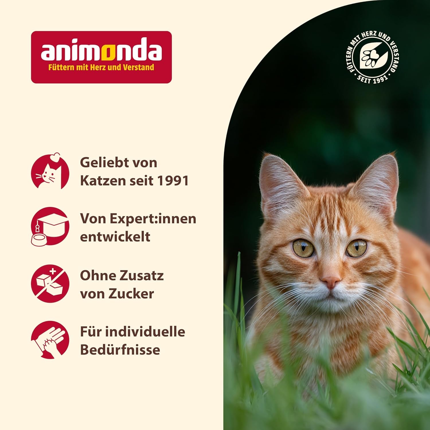 Animonda Carny nourriture humide pour chat dinde + poulet + crevettes (6 x 800g), nourriture humide sans céréales et sans sucre avec des ingrédients de viande fraîche