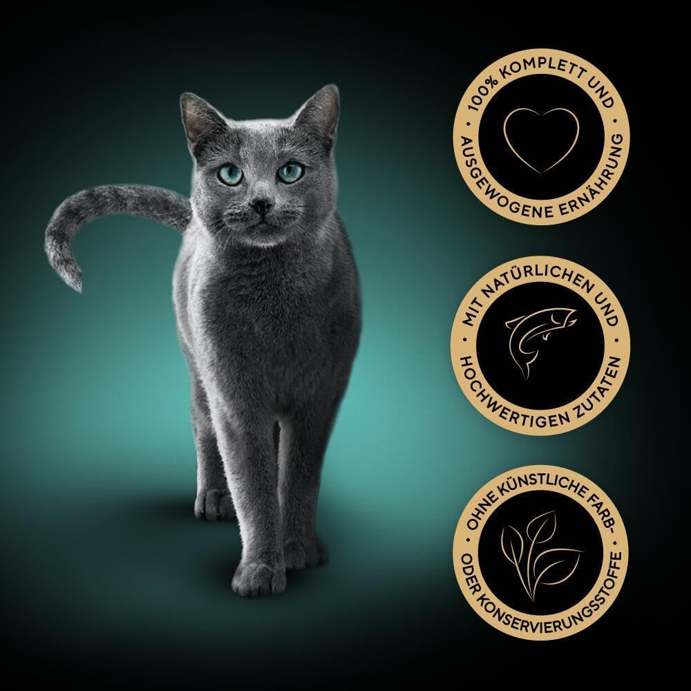 Sheba Nourriture humide pour chat, Délicatesse en gelée de saumon, 2 x 11 x 85 g