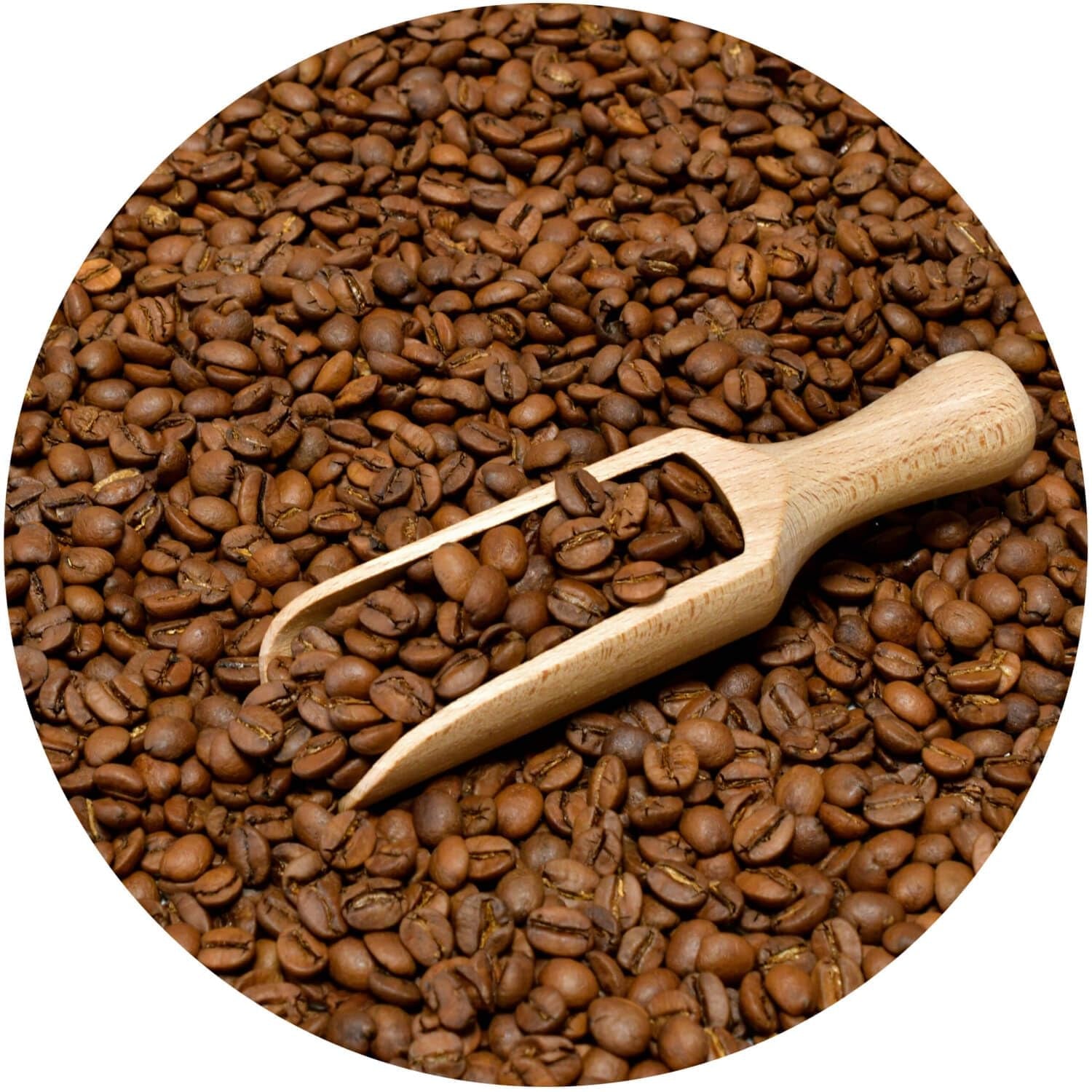 Lot de café en grains 2x1kg 2000g | Brésil Mogiana | Café brésilien | Café spécial | Fraîchement frit | Torréfacteur artisanal