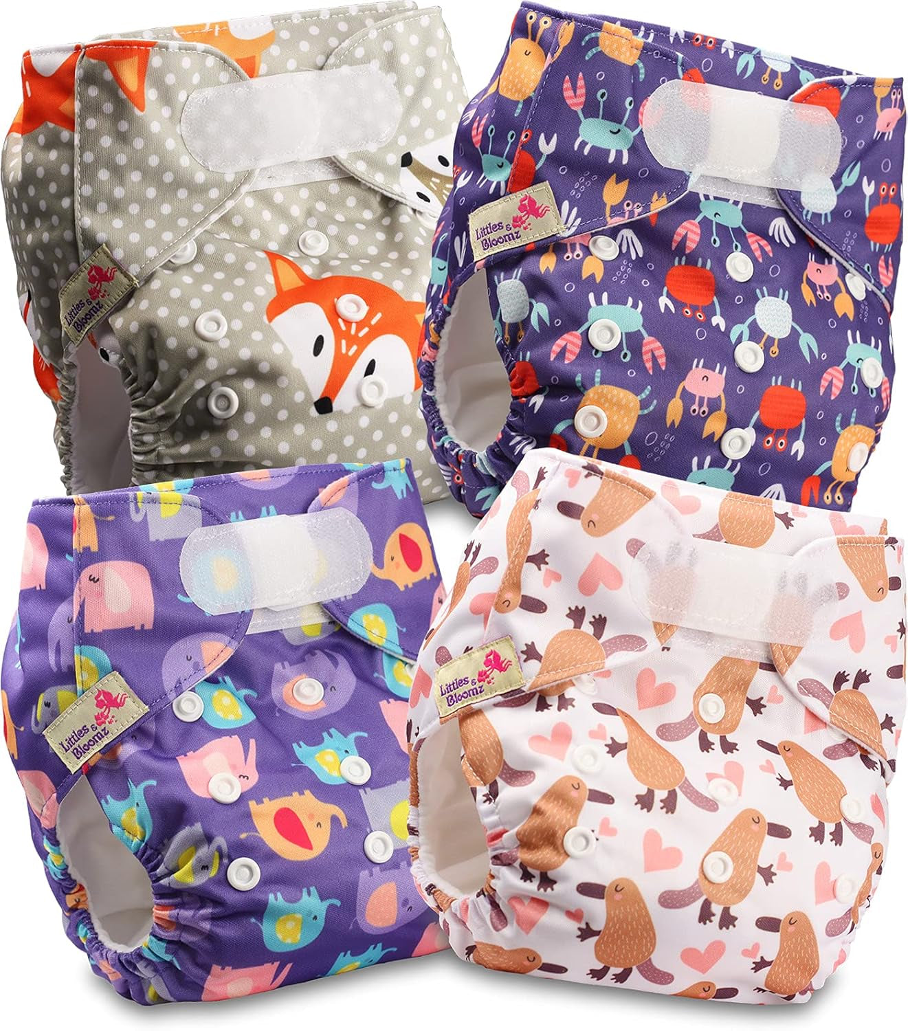 Couche réutilisable Littles and Bloomz FLV2-0602, fermeture à crochet et boucle standard, 6 couches