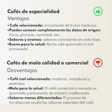 Café de spécialité Boconó Ethiopie 100% Arabica, torréfaction moyenne, 1 kg - Idéal pour le café V60, Chemex, Kalita, etc.
