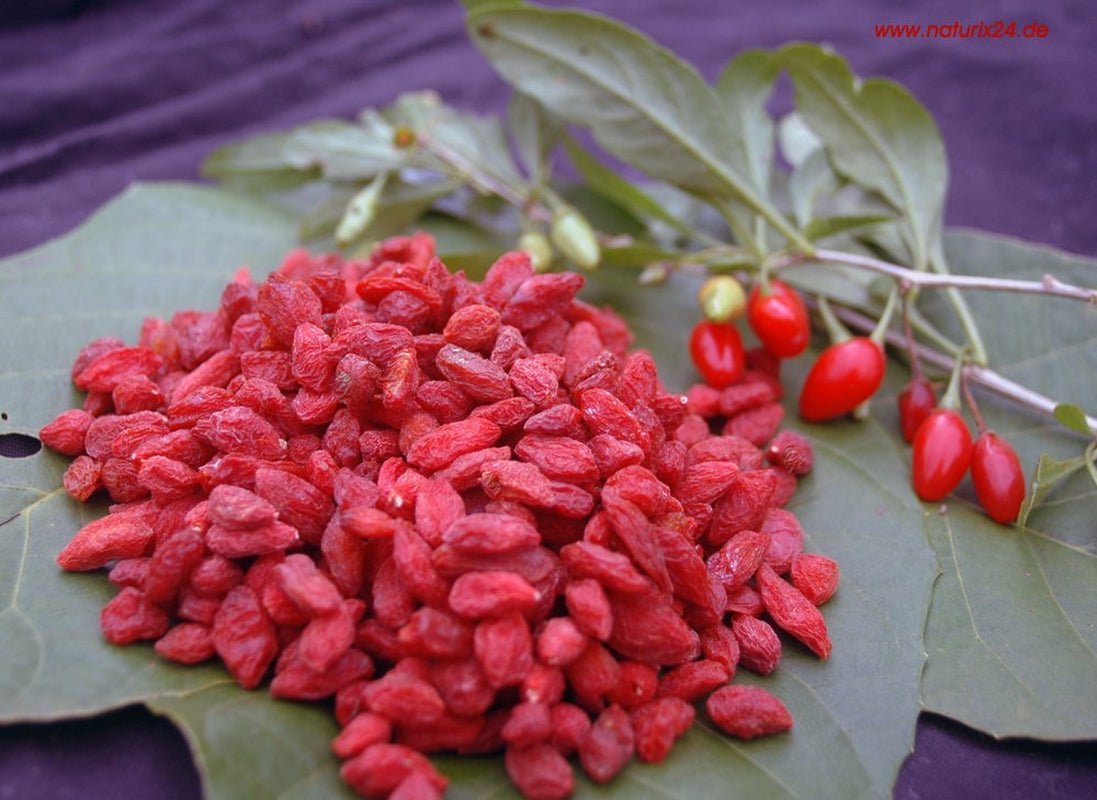 Baies de goji séchées - sachet aromatisé, 1 paquet (1 x 1 kg) Produits déshydratés Naty Shop Titre par défaut