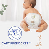 Douceur Naturelle - Culottes, Taille 6 (16-26 kg) Pack 1 mois - 112 culottes