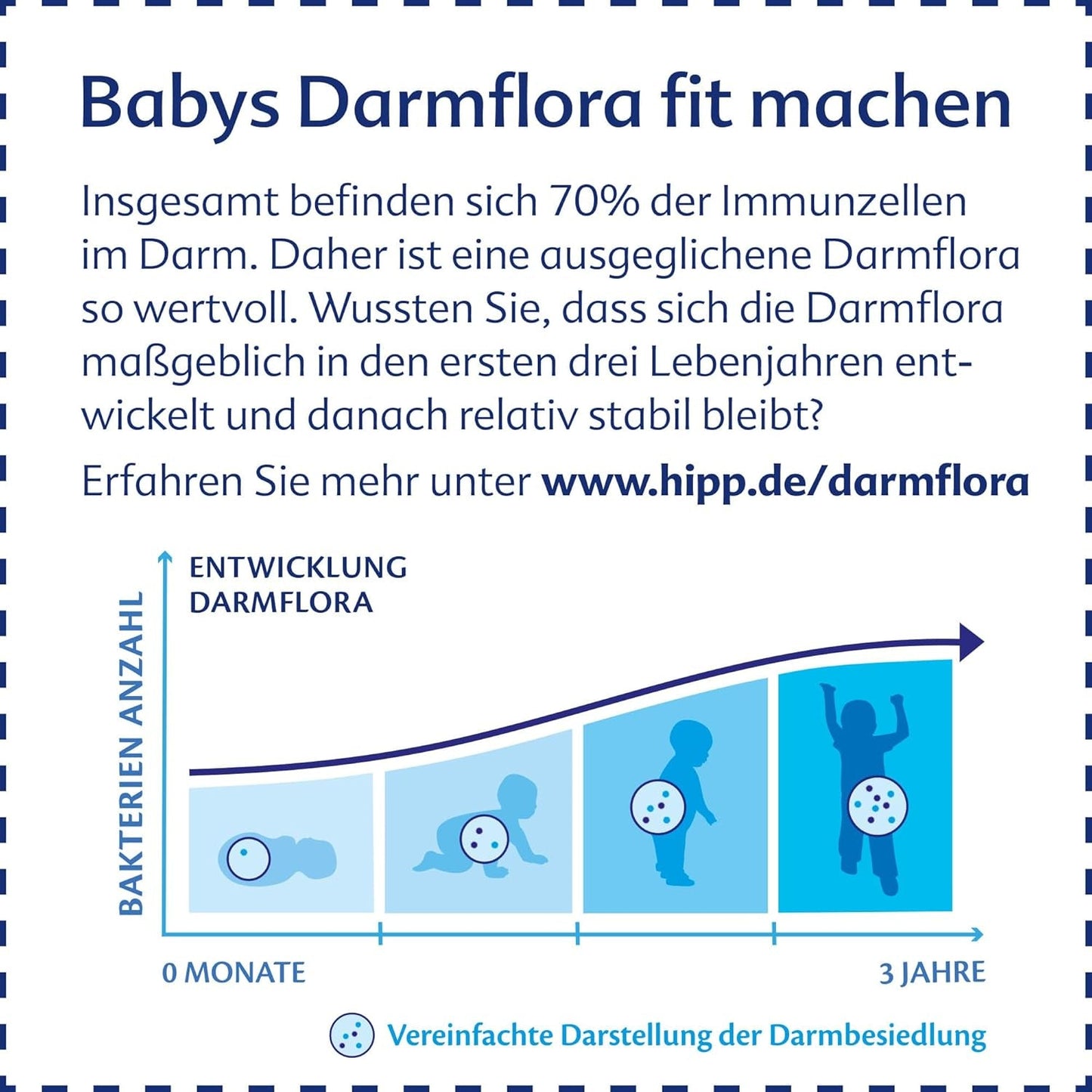HiPP 3 Bio Combiotik (4 x 600g), lait de suite dès 10 mois, avec cultures naturelles d'acide lactique, vitamines C et D, GOS, Oméga-3 (DHA, ALA), de la meilleure qualité biologique