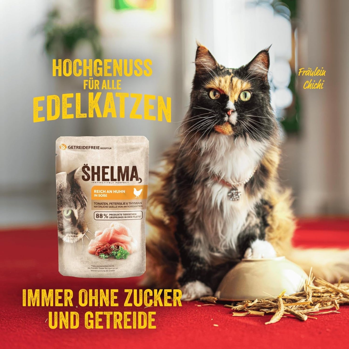 Shelma Nourriture humide pour chat au poulet dans une sauce tomate et herbes – Aliment complet sans céréales à haute teneur en viande – 28 x 85 g (2,38 kg)