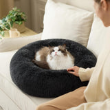Lits, couvertures et meubles, animaux, chats, lits pour chats, Chats - lits, matelas