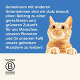 Applaws Nourriture humide 100 % naturelle pour chat adulte, assortiment de poissons en sauce, paquet multiple de 12 boîtes x 70 g