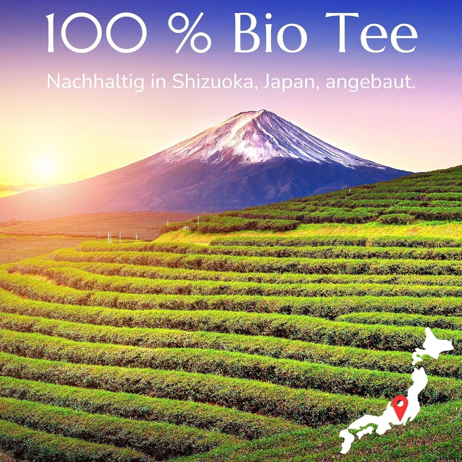 Anna'S Teapot Sencha Sachets de Thé Vert Bio - Thé Vert Japonais Bio 20 Sachets Pyramides dans un Sachet Refermable