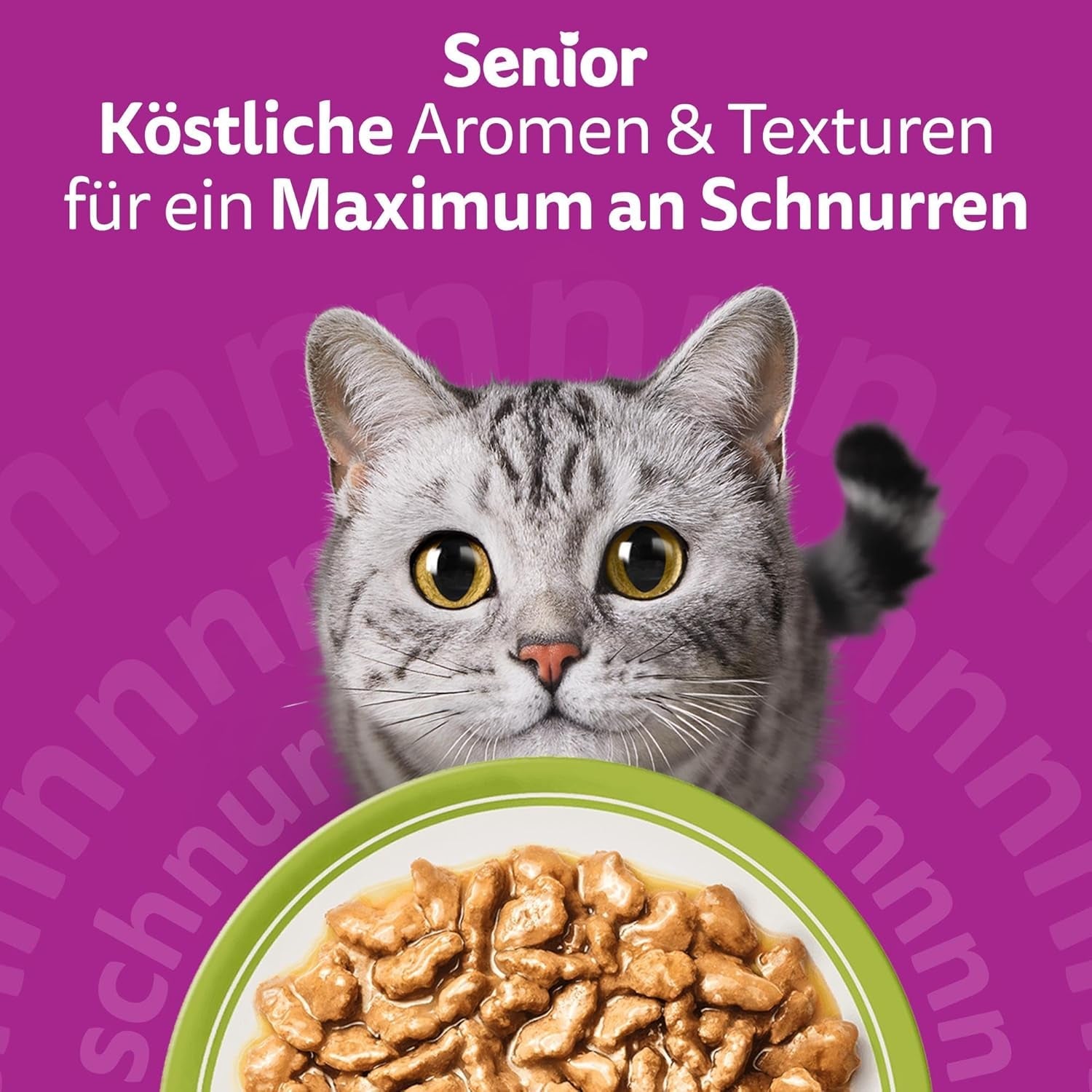 Whiskas Senior 7+ Wet Food Sélection Mixte en Gelée, 84 Sachets, 84x85g (1 Grand Paquet) - Nourriture humide de haute qualité pour chats de 7 ans et plus