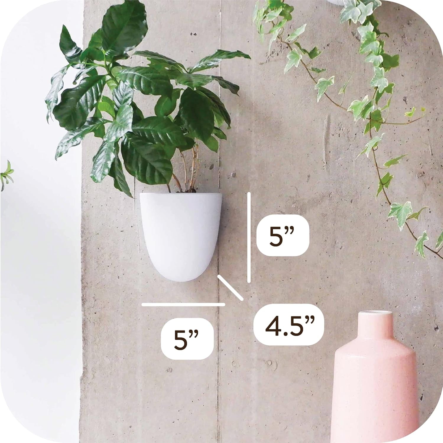 Virgo Lot de 6 pots muraux à arrosage automatique – Faciles à arroser et à installer – Légers – Créez votre propre jardin vertical – Pots muraux pour plantes d'intérieur