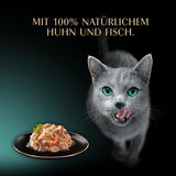 SHEBA Filets Adult Katzenfutter en Sauce au Poulet, Hochseefisch et Garnelen 16 x 60g Coquille