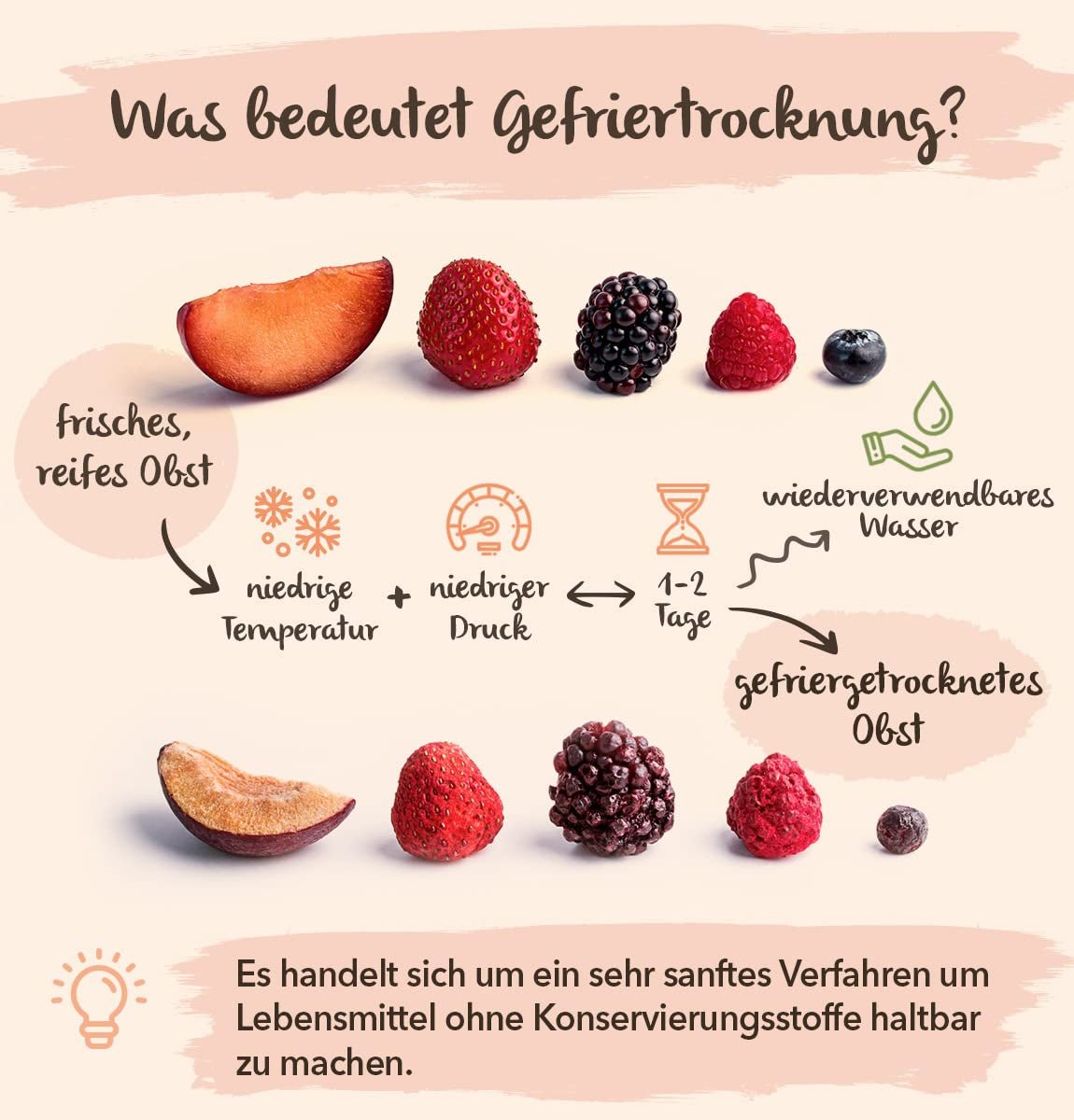 Abricots lyophilisés BRIX | Abricots secs naturels 85 g | Great Taste Award pour les fruits secs, séchés | Sans OGM, sans gluten, végétalien, vitamines conservées Naty Shop Produits déshydratés