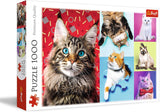 Puzzle "1000" - Portraits de chiens rigolos Puzzle Naty Shop Chats rigolos