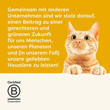 Applaws Snack crémeux au poulet sans céréales pour chats et chatons 32 sachets x 15 g