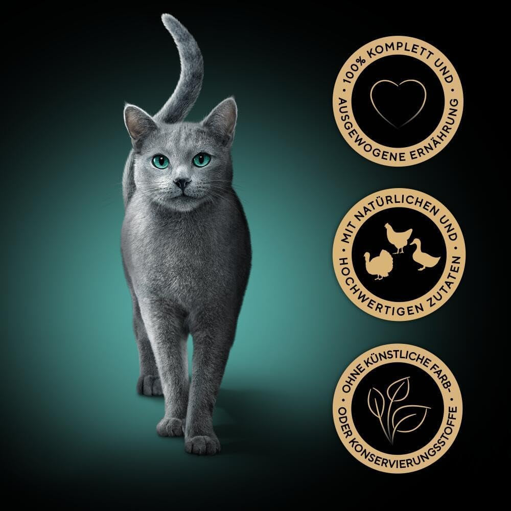 Sheba Portion Pouches Nourriture humide pour chat, paquet multiple de gelée fraîche et fine de dinde et de poulet, 6x6x50g - Nourriture pour chat de haute qualité en gelée de dinde et de poulet