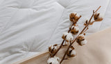 Couette Percale Coton 240 X 220 cm Haute Qualité 100% Percale Coton Doux et Confortable Durable Finition Fine Fabriqué en France Couettes et Couettes Blanc Naty Shop