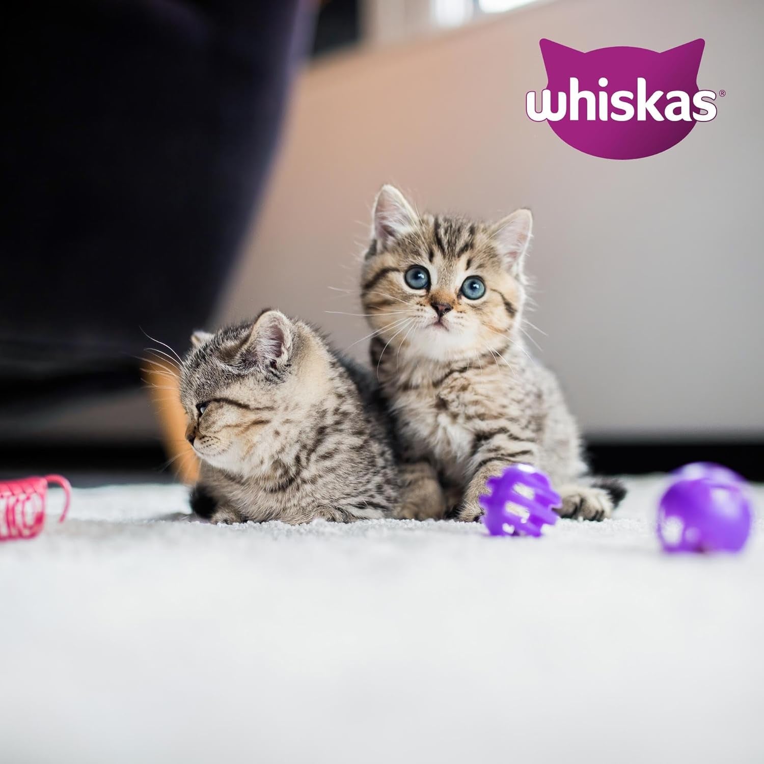 Whiskas Junior Classic Selection Nourriture humide pour chats en sauce, 48 sachets, 12 x 85 g (Pack de 4) - Nourriture humide de haute qualité pour chats en croissance, de 2 à 12 mois