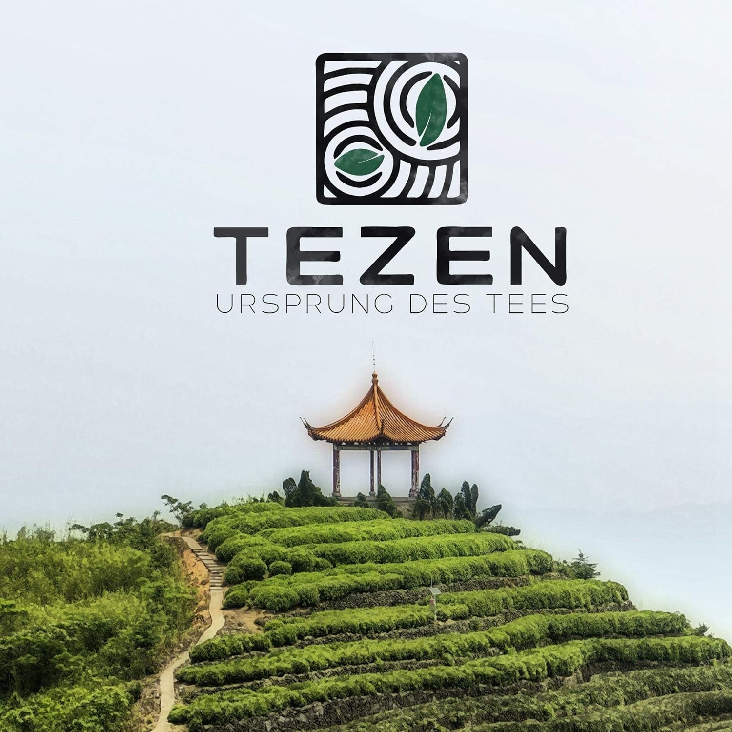 Thé Oolong Tie Guan Yin d'Anxi, Chine | Récolte 2025 | Thé Oolong chinois de haute qualité | Thé chinois premium issu de plantations traditionnelles 100 g