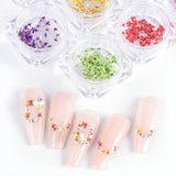 EYVRPAU 6 pièces Nail Art Fleurs Set Décoration, Gelnägel Zubehör 6 Farben, Nail Art Aufkleber Trockene Blumen Kit Getrocknete Blumen Zubehör Set DIY Nageldekoration