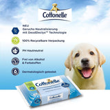 Lingettes humides, Ultimate Fresh, 12 X 42 lingettes, technologie Deodycylx, respectueuses de la peau, sans alcool ni colorant, sensibles, biodégradables