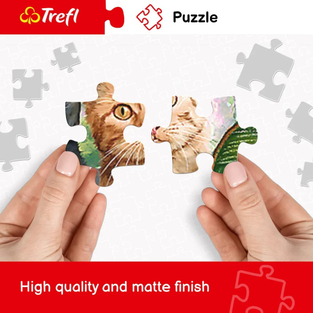 Trefl TR10461 Samudra Beach, Inde Puzzle 1000 pièces de qualité supérieure pour adultes et enfants de 12 ans et plus, puzzle coloré Naty Shop