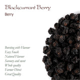 Cassis bio non sucré - Groseilles séchées Baies fruitées - idéales pour la pâtisserie Groseilles Framboises Thé Cassis Cassis Noirs séchés Produits déshydratés Naty Shop