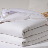 Platine, duvet d'oie, 300 G/M², 240 X 220 Cm, blanc (blanc) Couettes et couettes Naty Shop Bianco 260X240 Cm