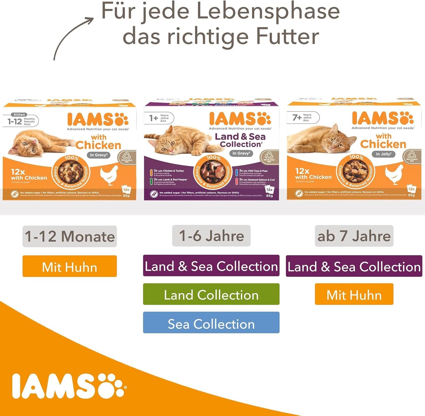 IAMS Delights Land Collection Nourriture humide pour chats - Multipack avec variétés de viandes (agneau, bœuf, poulet et dinde) en sauce, nourriture humide pour chats à partir de 1 an, 12 x 85g